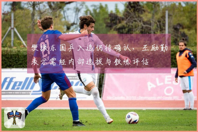 樊振东国乒入选仍待确认，王励勤表示需经内部选拔与教练评估