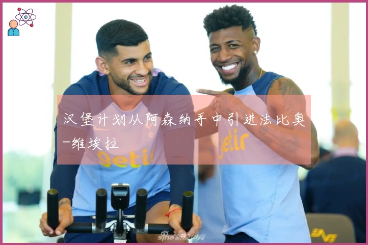 汉堡计划从阿森纳手中引进法比奥-维埃拉