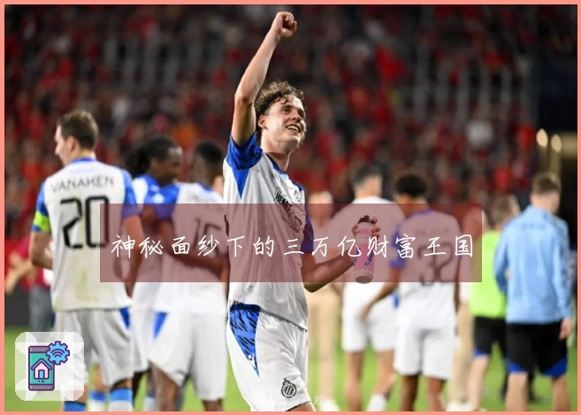 神秘面纱下的三万亿财富王国