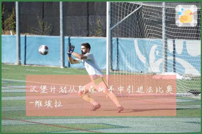 汉堡计划从阿森纳手中引进法比奥-维埃拉