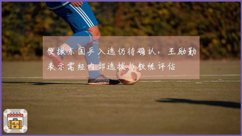 樊振东国乒入选仍待确认，王励勤表示需经内部选拔与教练评估