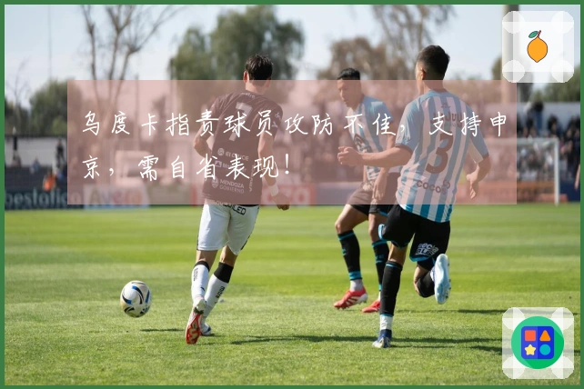 乌度卡指责球员攻防不佳，支持申京，需自省表现！